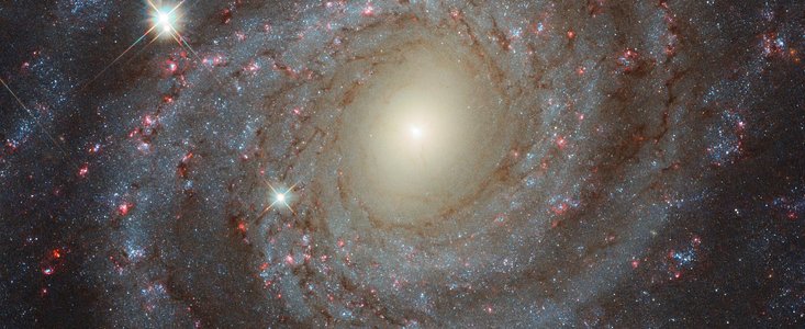 Multi-filter image of NGC 3344