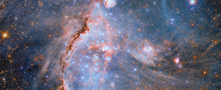 Stellar sculptors in NGC 346