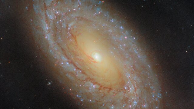 A galaxy that gives great feedback