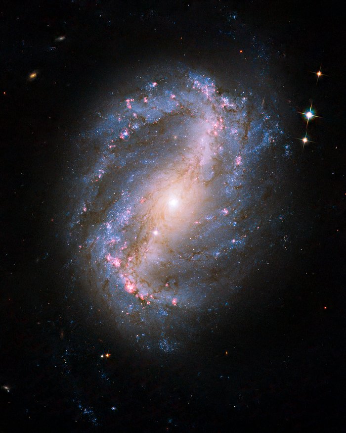 Barred spiral galaxy NGC 6217