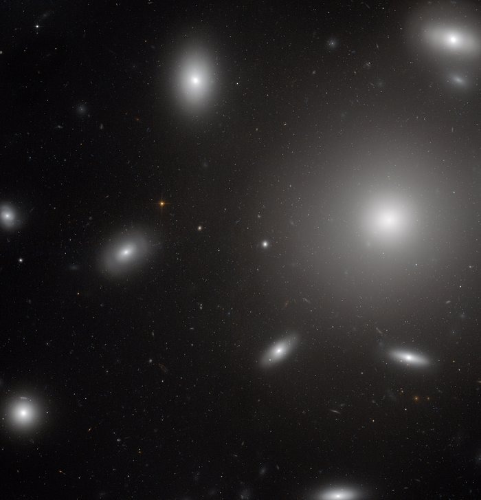 Galaxies in a swarm of star clusters