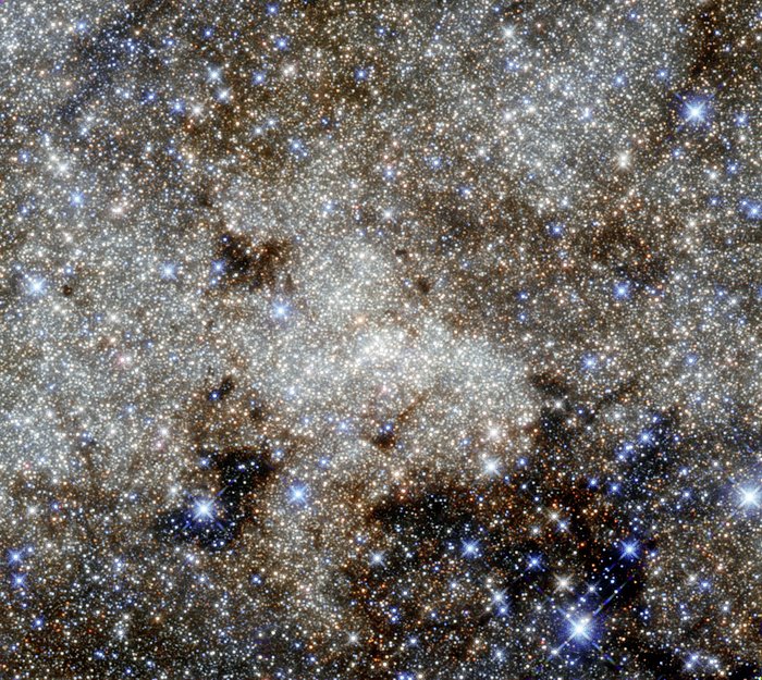 A monster in the Milky Way