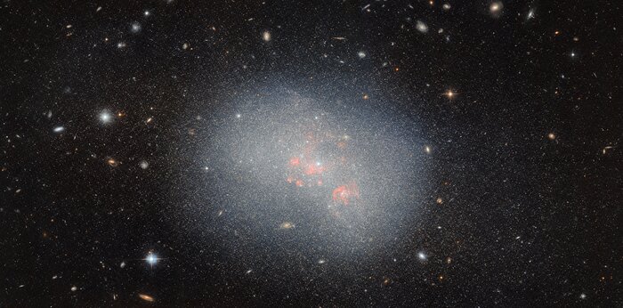 Assembling the largest galaxies